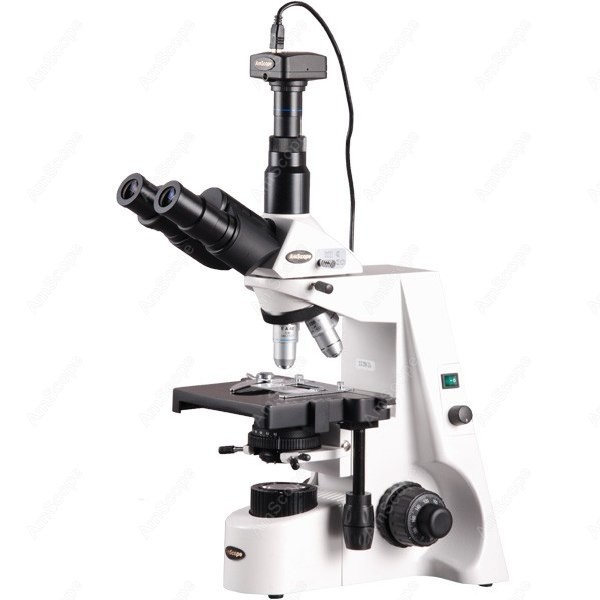 Microscope Compound 40X - AmScope 40X-2500X Infinity Kohler biologische samengestelde
