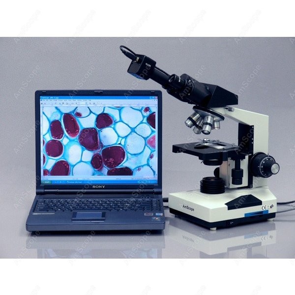 AmScope Biologische binoculair - Microscope Compound 40X recensie en prijs