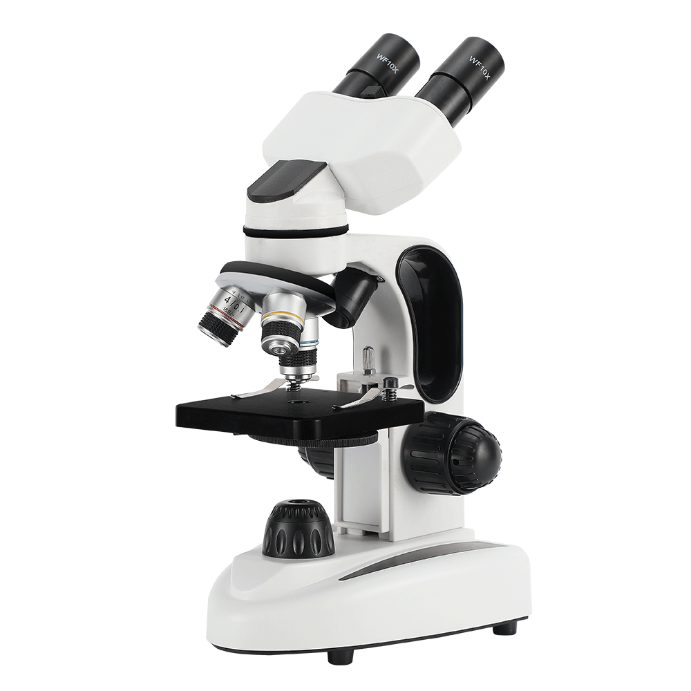 40X-1000X Samengestelde Binocu - Microscope Compound 40X recensie en prijs