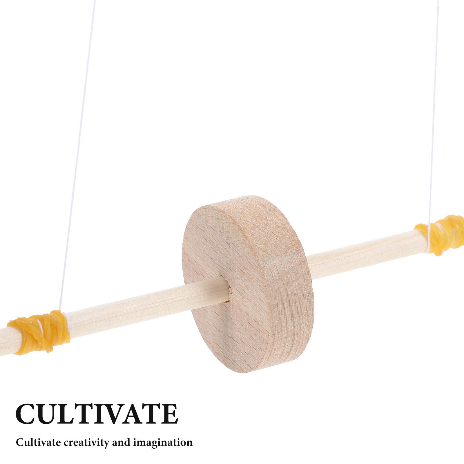 Houten Maxwell Experiment Zwaa - Science Project recensie en prijs