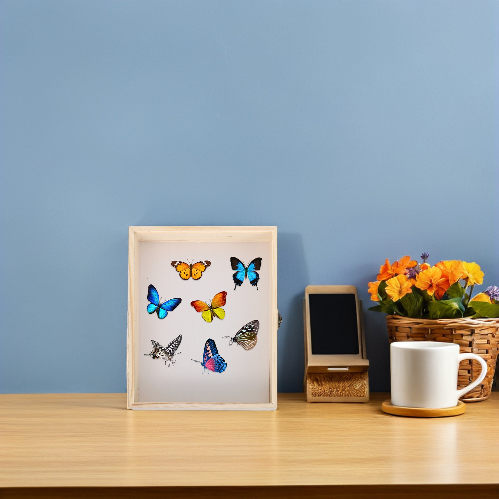 Houten insecten-displaybox 26x - Science Project recensie en prijs