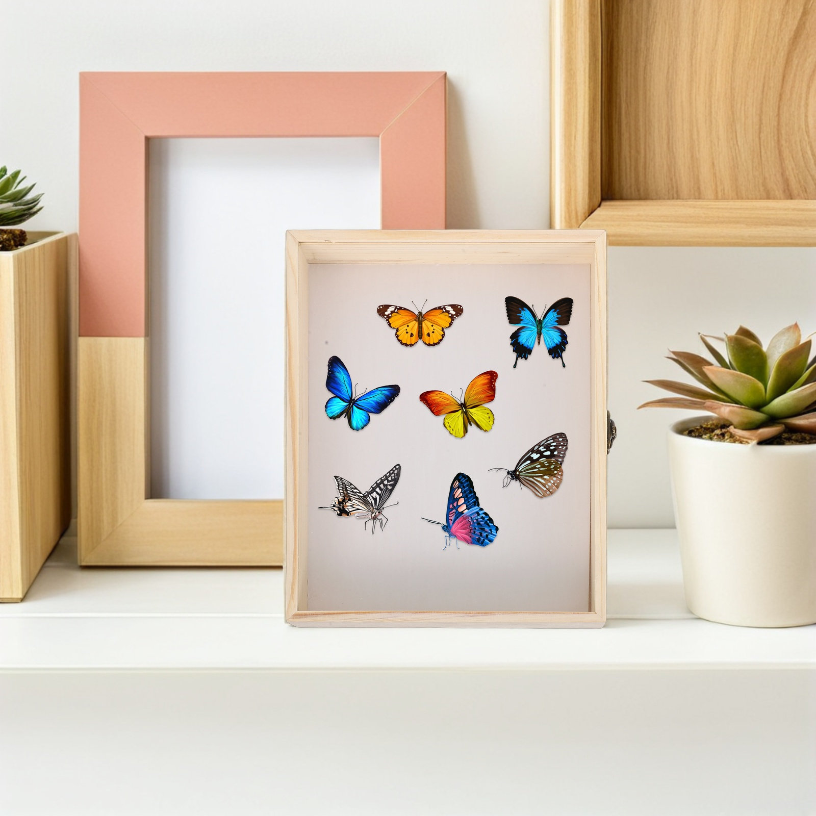 Houten insecten-displaybox 26x - Science Project recensie en prijs